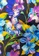 HOM multi [Japan Collection] Colored Boxer Briefs -  Floral Print 56D20US3FEDE12GS_4