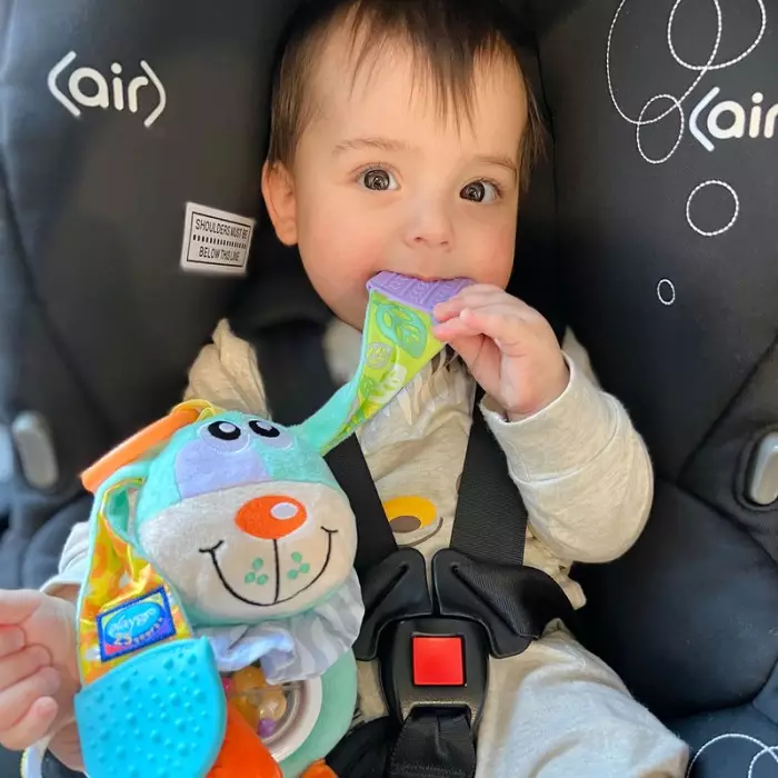 Playgro Activity Doofy Dog - Mainan Stimulasi Gantungan Stroller Bayi