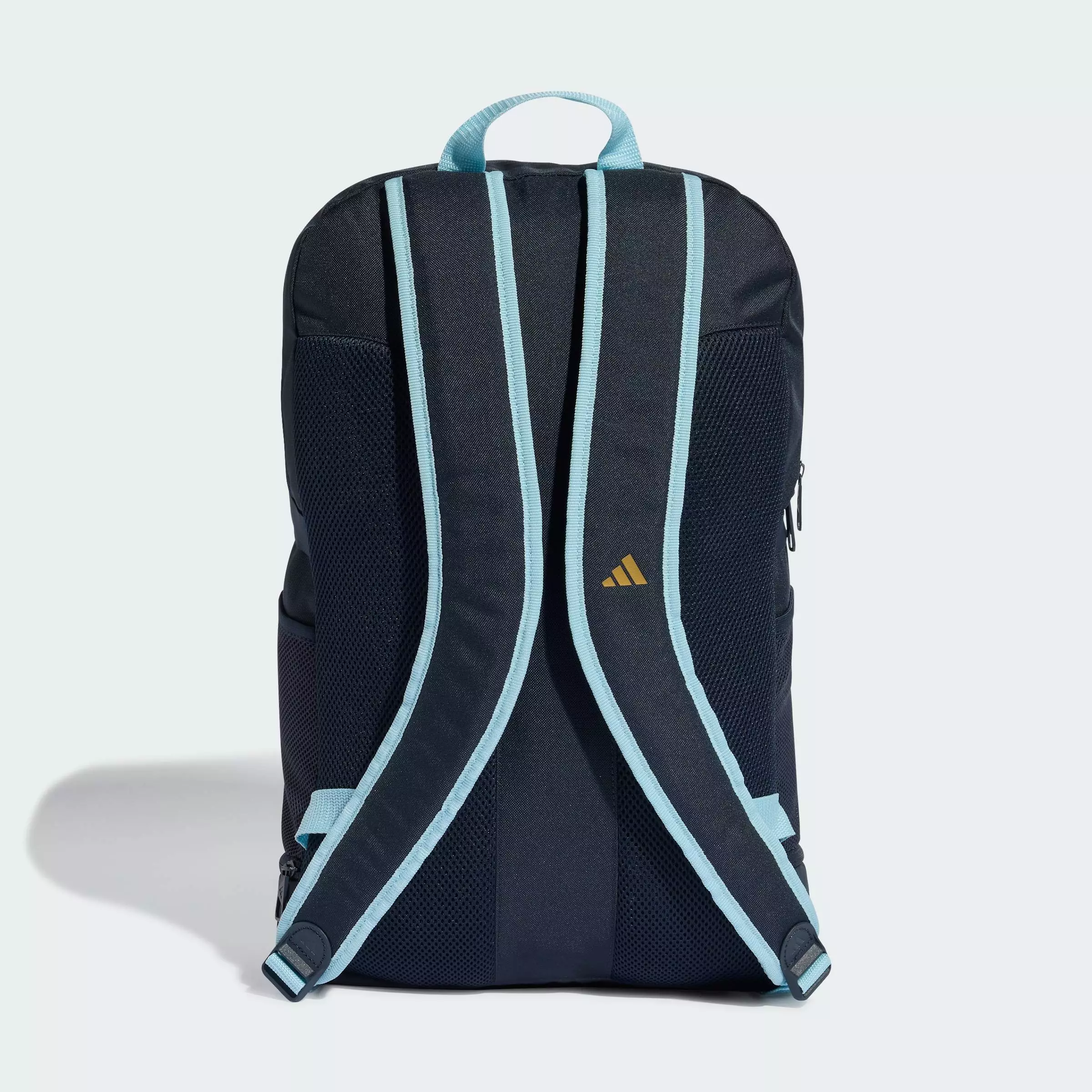 Argentina 26 Backpack