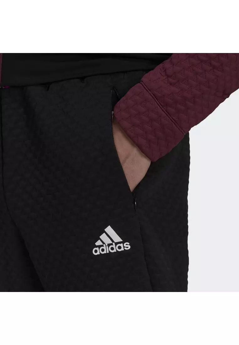 Buy ADIDAS z.n.e. sportswear primeblue cold.rdy pants 2024 Online