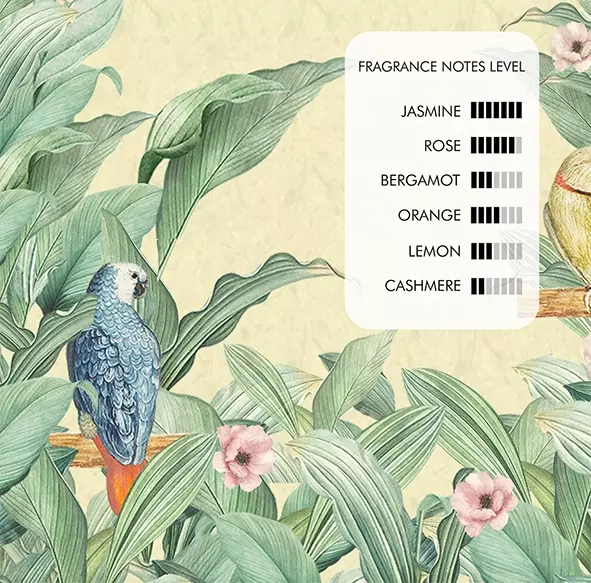 CARESO Jasmine Blossom - 100ml