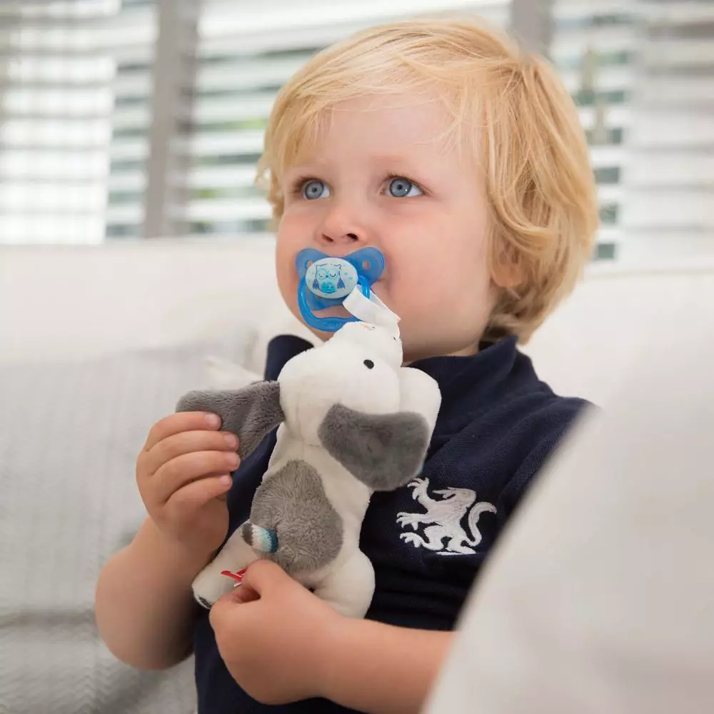 Buy Zazu [Zazu] Universal Pacifier Holder Soft Toy, Dexy the Dog