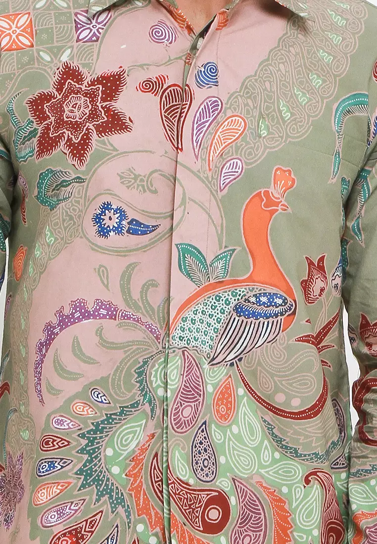 Merak Pari Lengan Panjang