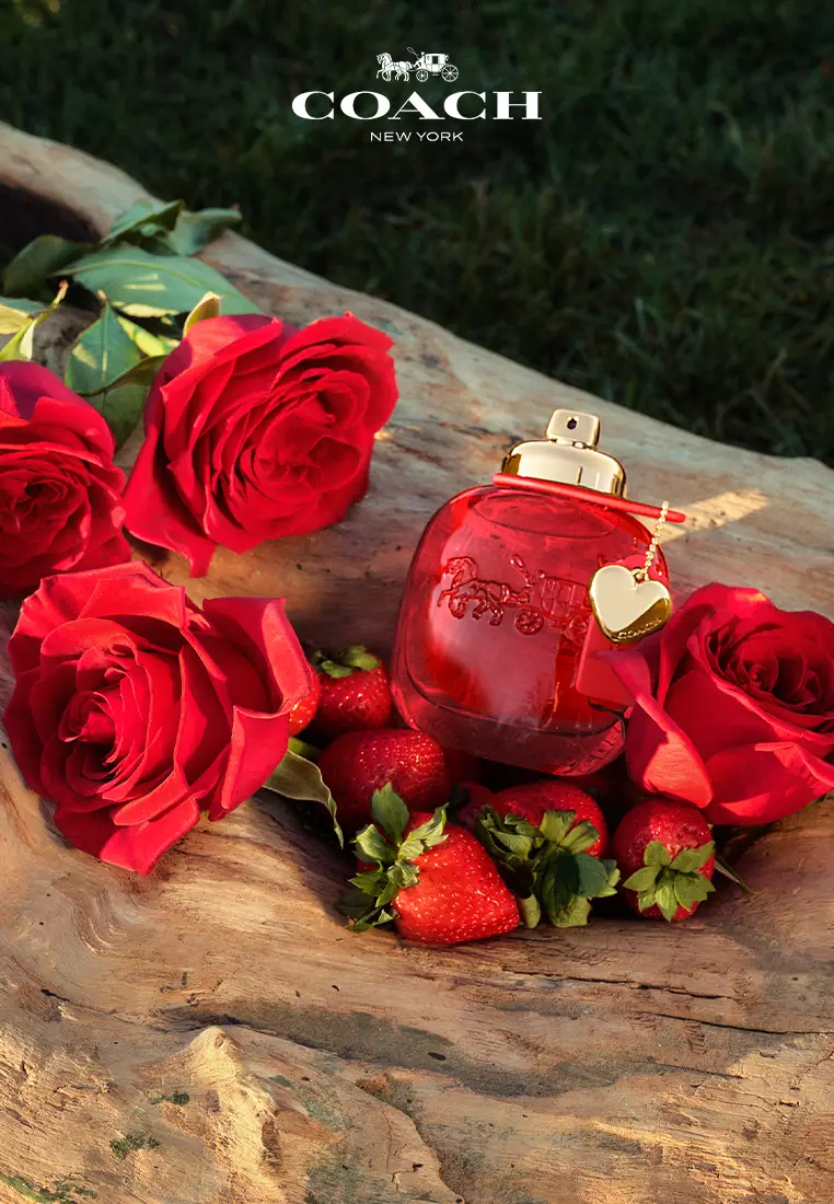Buy Coach Love Eau de Parfum 30ml 2025 Online ZALORA Philippines