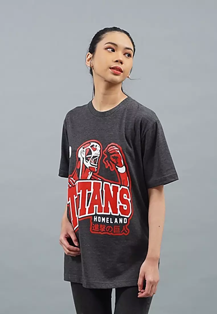 LGS Street x Titans - Kaos - Oblong - Unisex - Grey - Anime - ST.30.H056.005