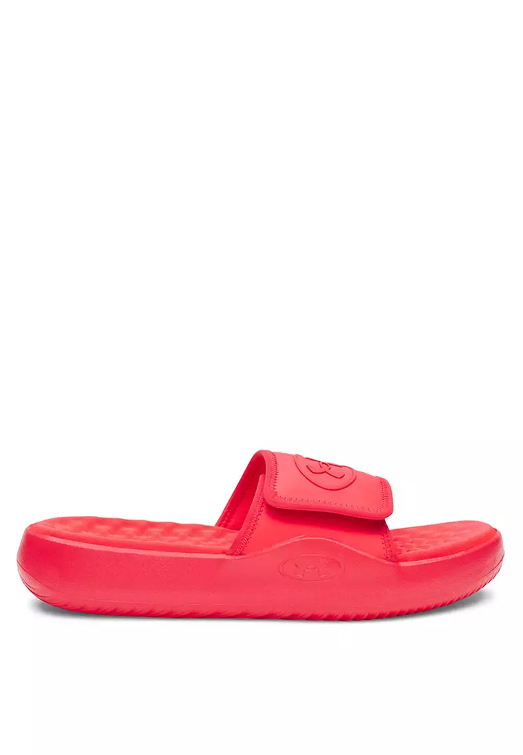 Ignite Pro 8 Slides