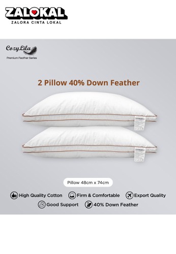 Jual Cozylila Paket 2 Pcs Bantal Bulu Angsa 40 Down Feather Classic Original Zalora Indonesia