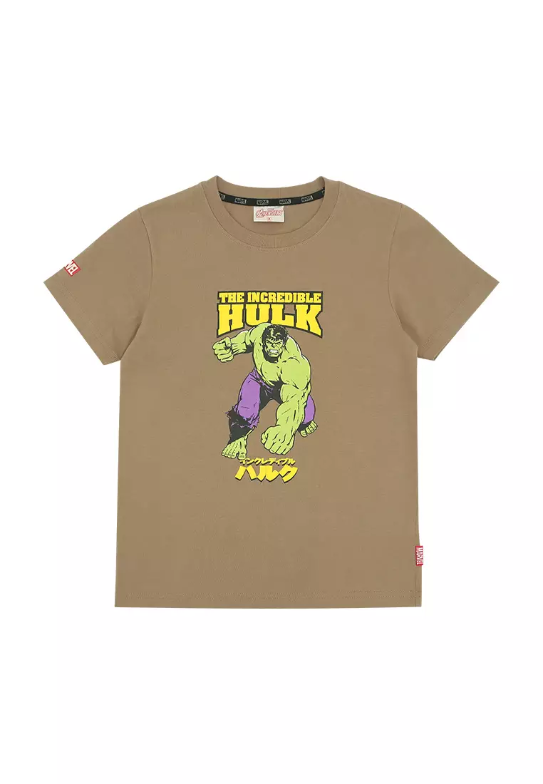 Boys Licensed Graphic T-Shirt The Hulk Japanese Characters
