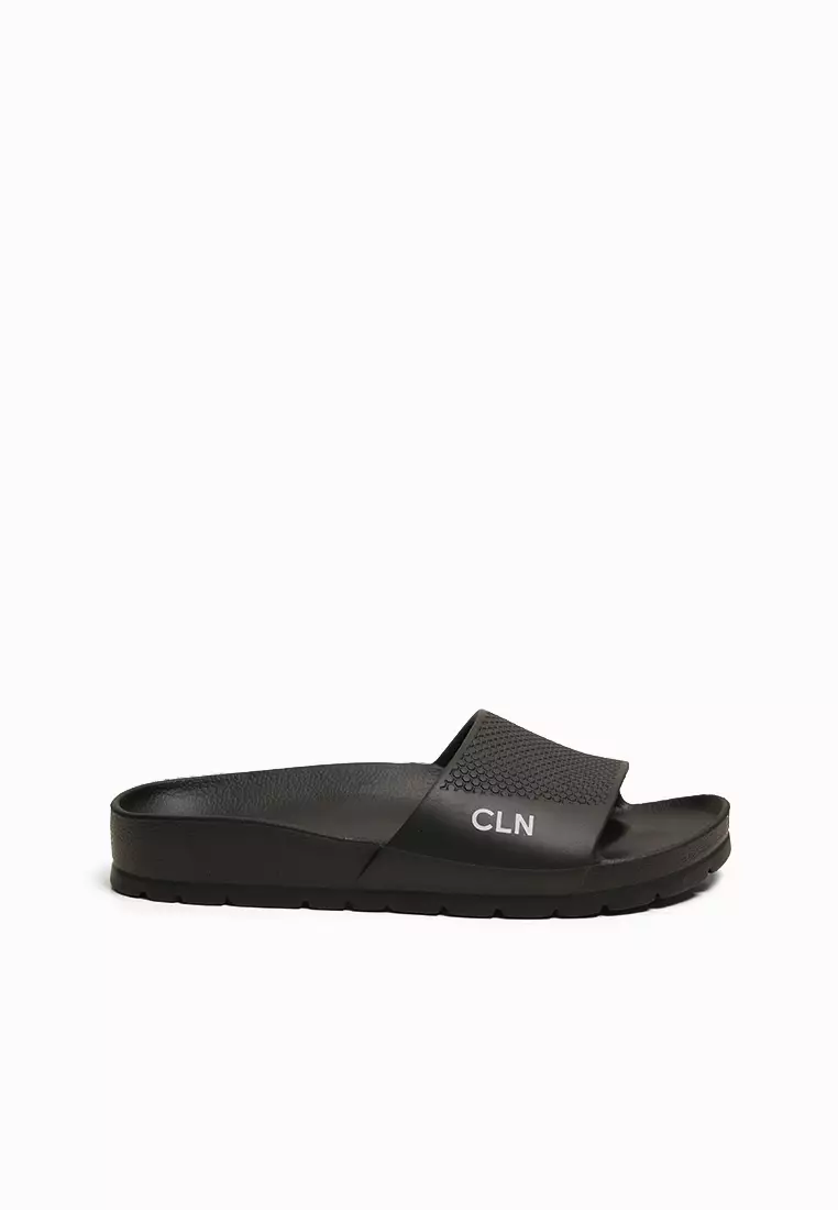 CLN Bevin Slides