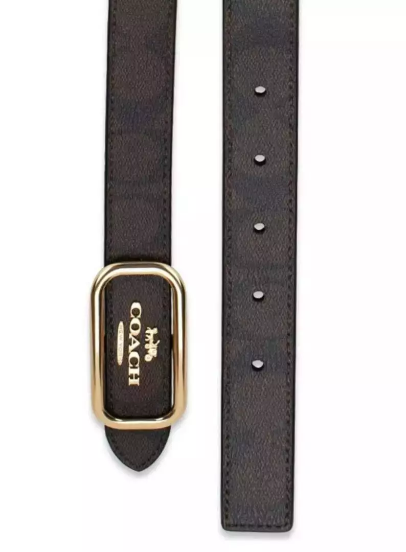 CE971 Morgan Belt Signature 2,5 cm Brown Black Large