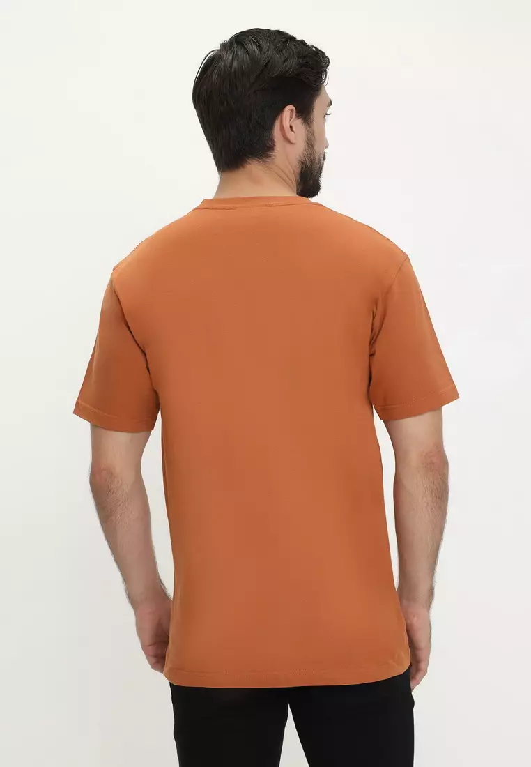 RBJ T-Shirt Cotton Pria 207430041