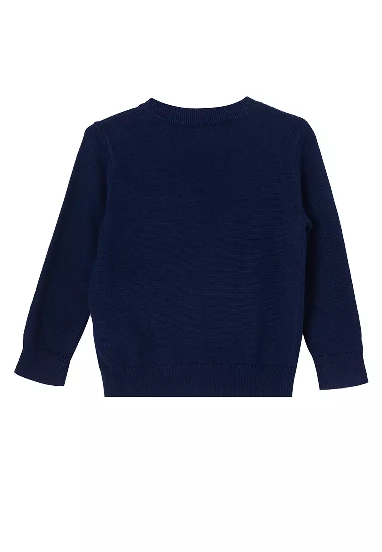 Gap baby boy on sale sweater