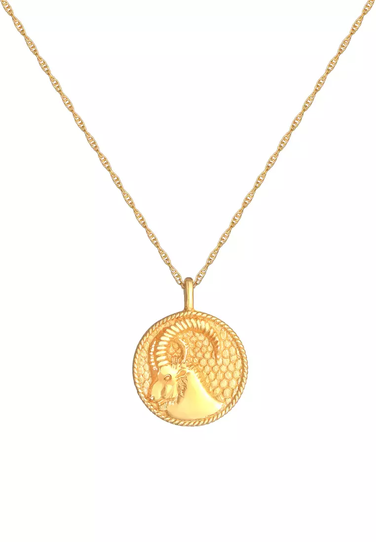 Zodiac Sign Capricorn Coin Necklace
