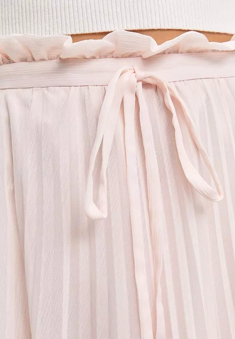 Sheer Pleated Skirt