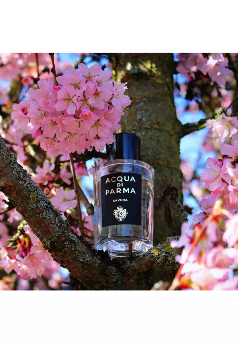 香水(女性用) ACQUA DI PARMA SAKURA 100mL 香水化妝品護膚品】Perfumes Makeup Skincares-品薈TOPPRIDEHK 2021