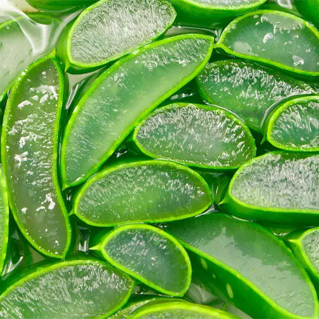 Holika Holika Aloe Waterproof Sun Cream