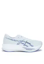 Arctic Blue/Grey Blue