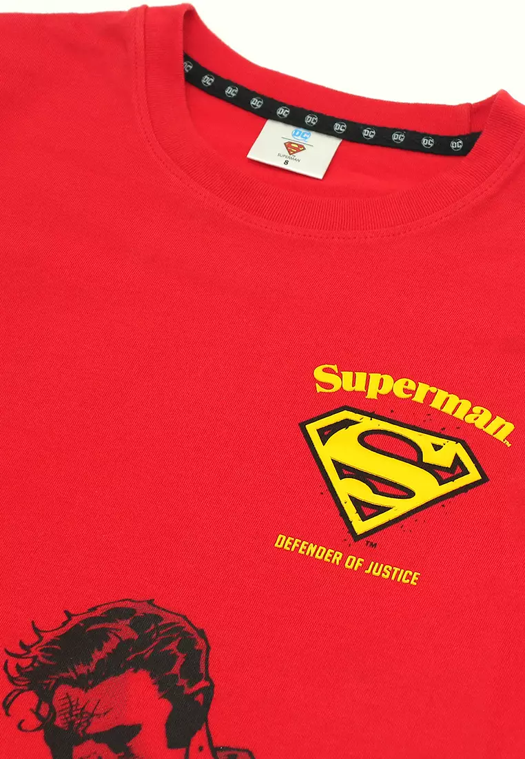 Boys Licensed Graphic T-Shirt "Defender of Justice"