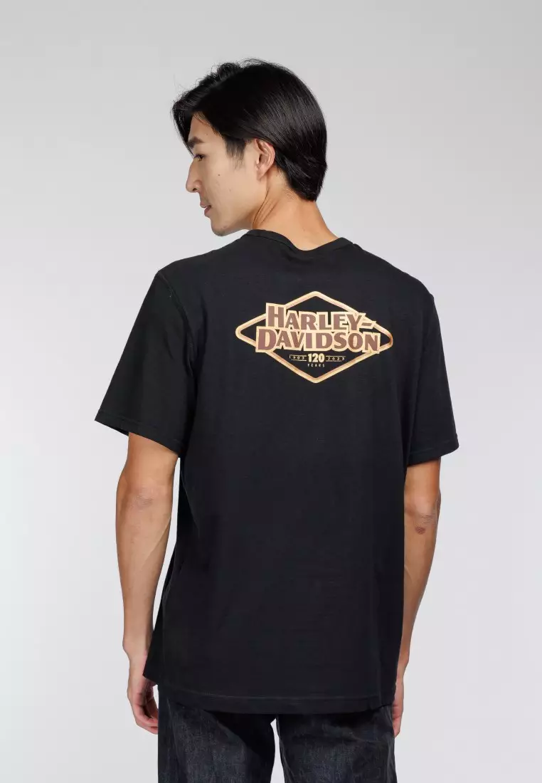 120th Anniversary Pocket Tee
