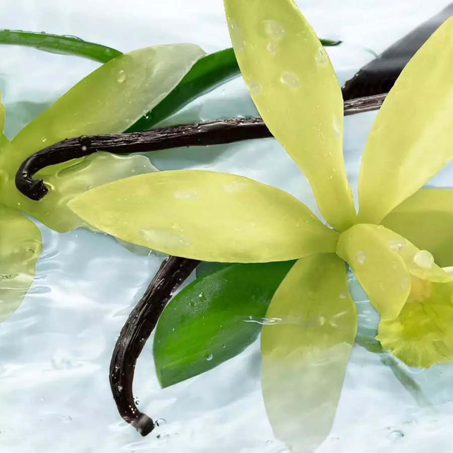 Jual Yves Rocher Yves Rocher Bourbon Vanilla Moisturizing Hand Cream 30