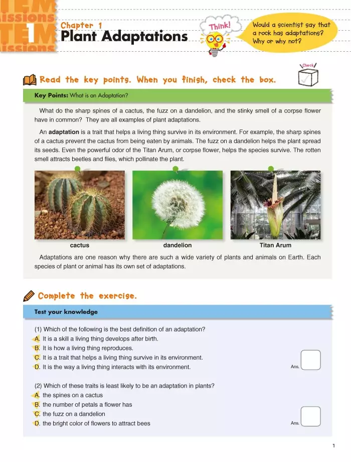 Jual Kumon Publishing KUMON STEM Workbooks (Grades 35) Original 2024