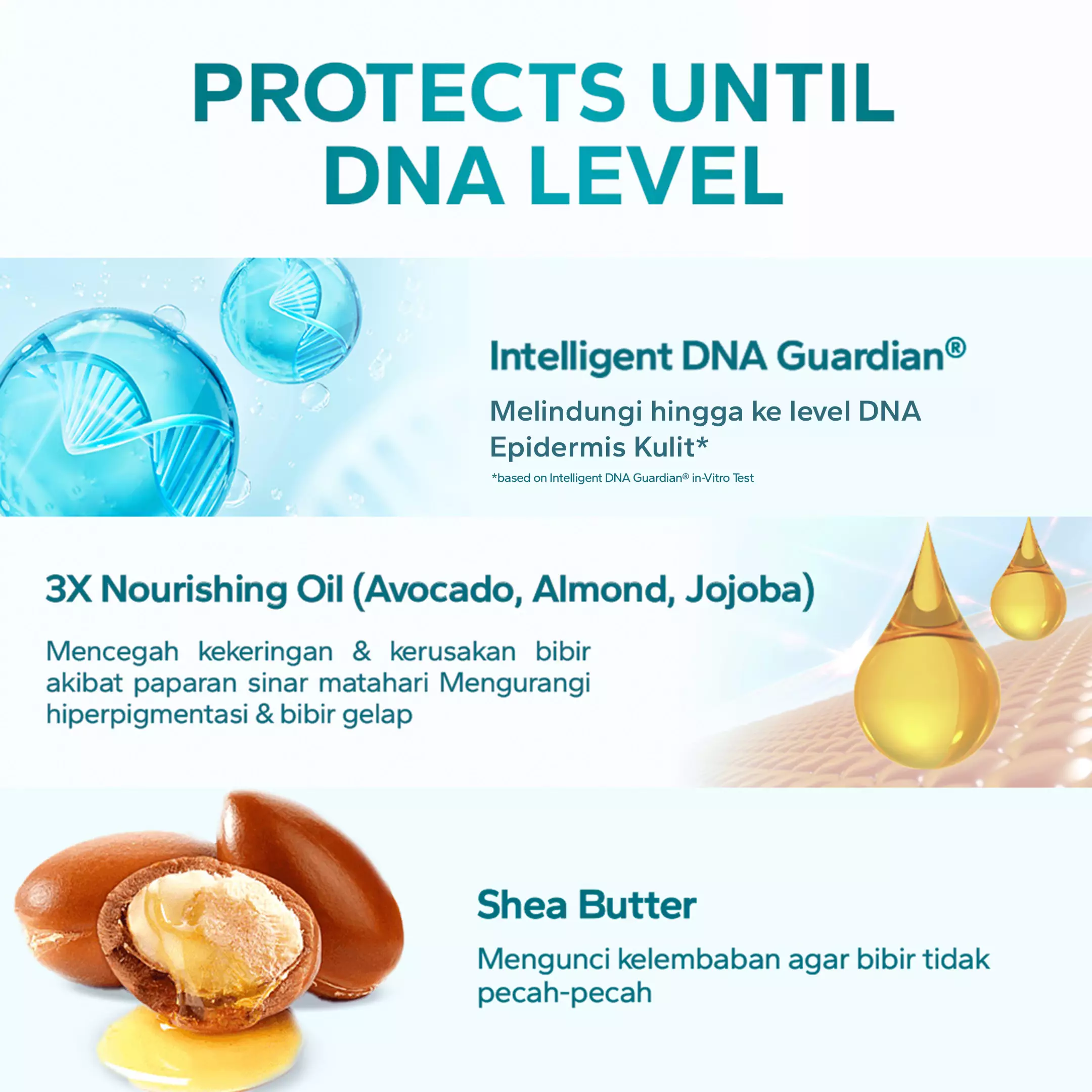 AMATERASUN [REAL SPF] Lip Gloss SPF29 PA++++ Nude