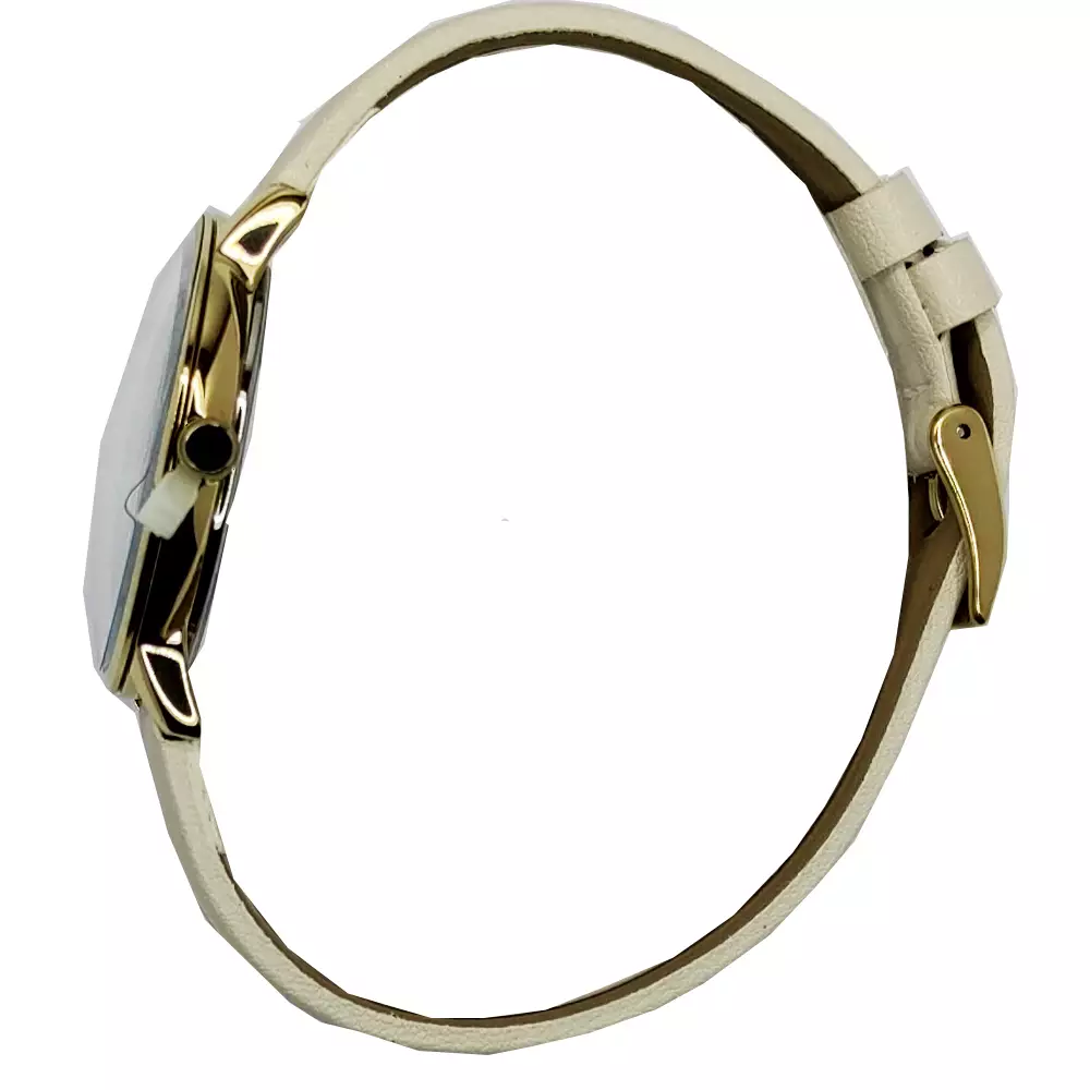 Slazenger Casual  Women's Watches SLZ SL.09.6380.3.04