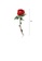Glamorousky silver Fashion Simple Plated Gold Enamel Red Rose Brooch 85B25AC885B6D1GS_2