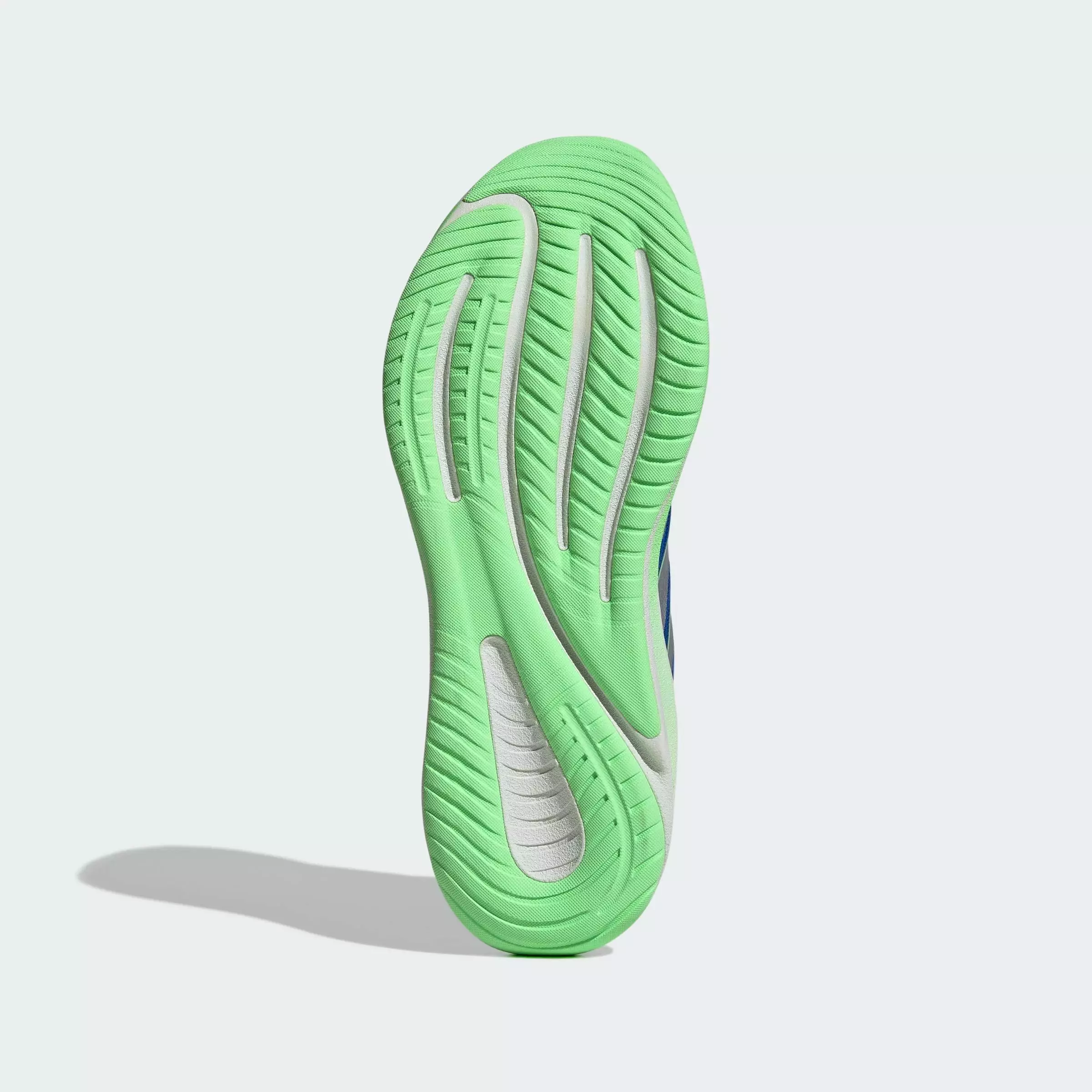 Running SUPERNOVA EASE 2 M RUNNING SHOES Men Blue JQ3910