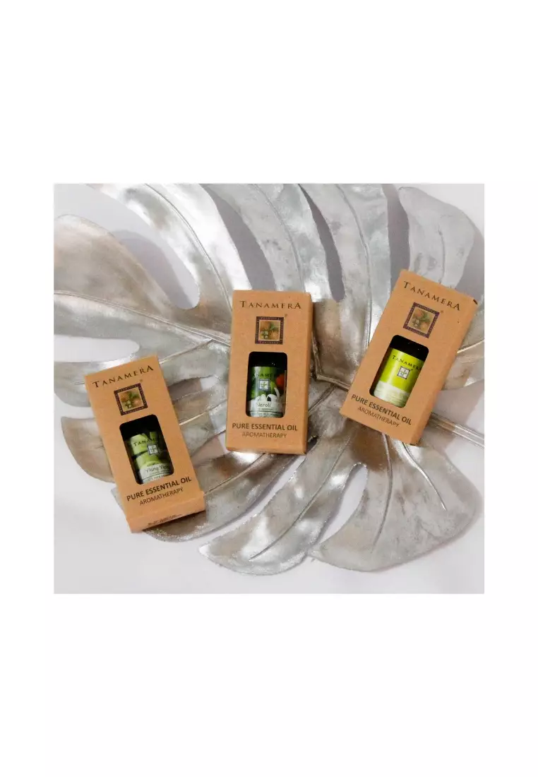 Essential Oil Aromatherapy Gift Set