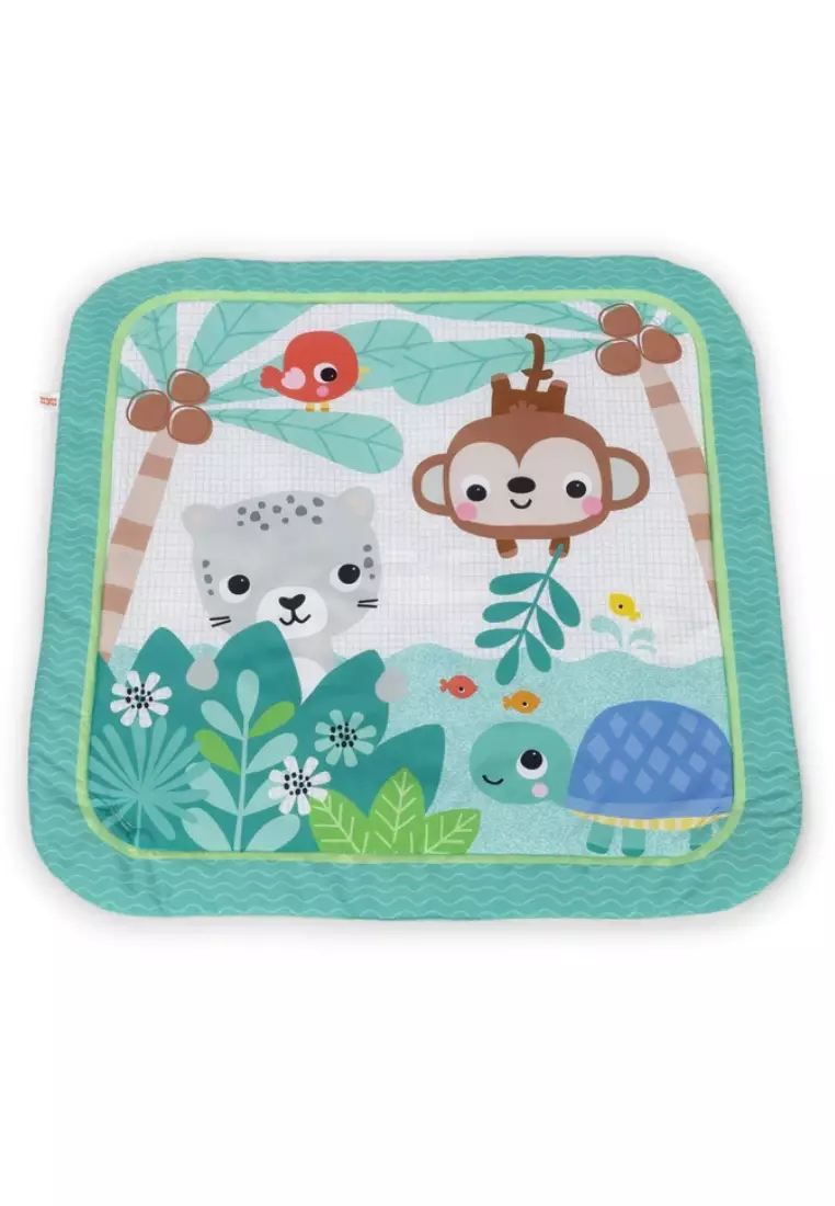 Brights Starts Palm Party Gym