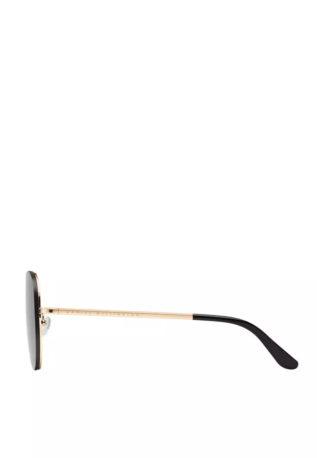 Steel Avion Rose gold Medium Eastern Fit Sunglasses DW 墨鏡 - 太陽鏡 丹尼爾惠靈頓