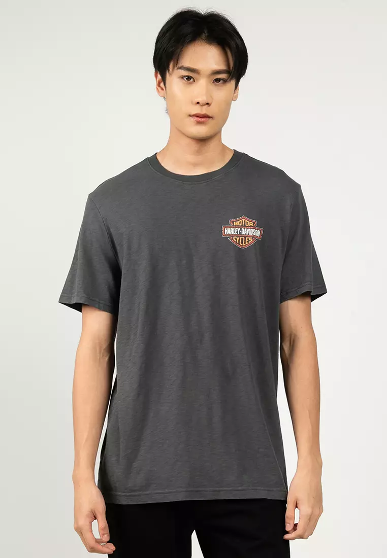 Buy Harley-Davidson Harley-Davidson® Softail Sunset Tee 2026
