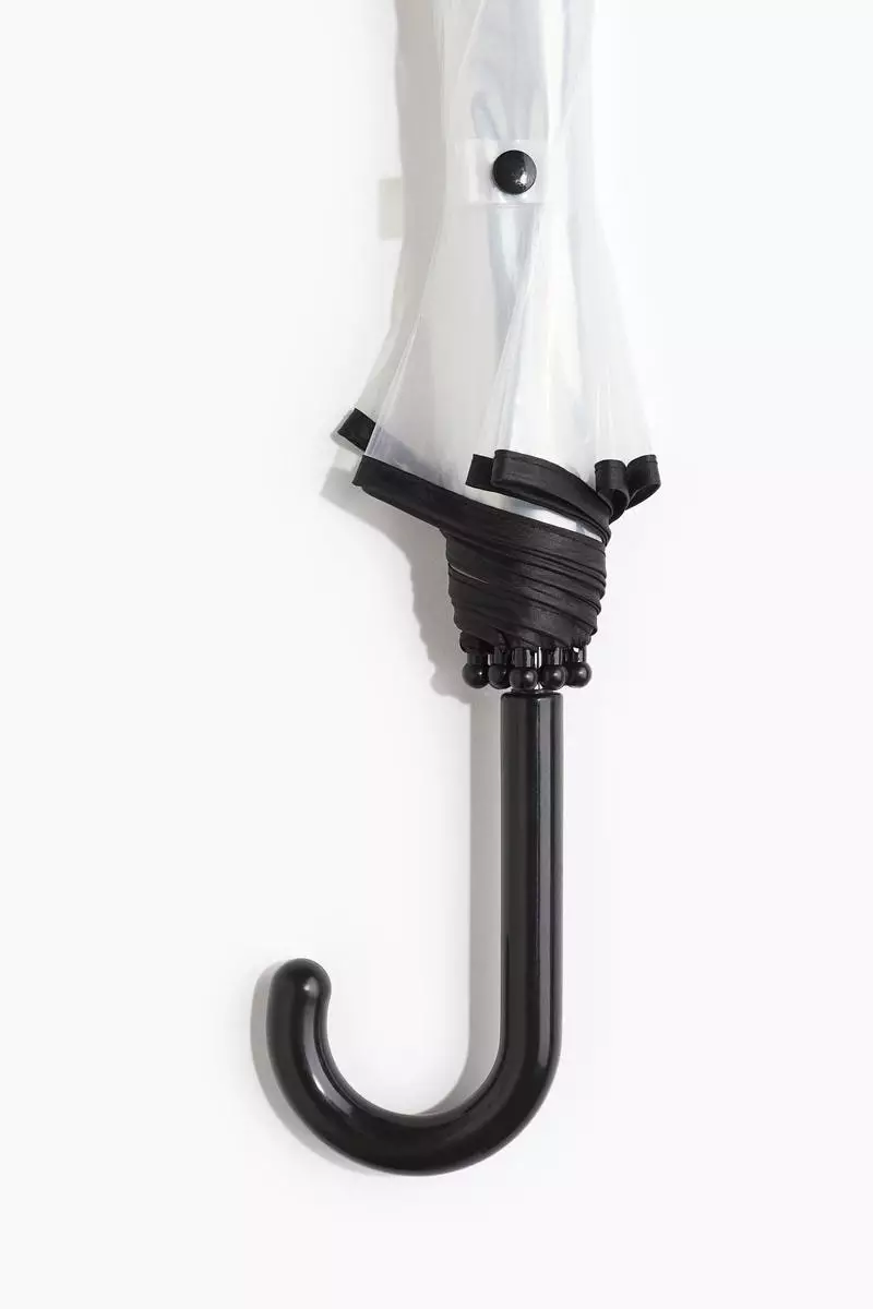 Transparent umbrella