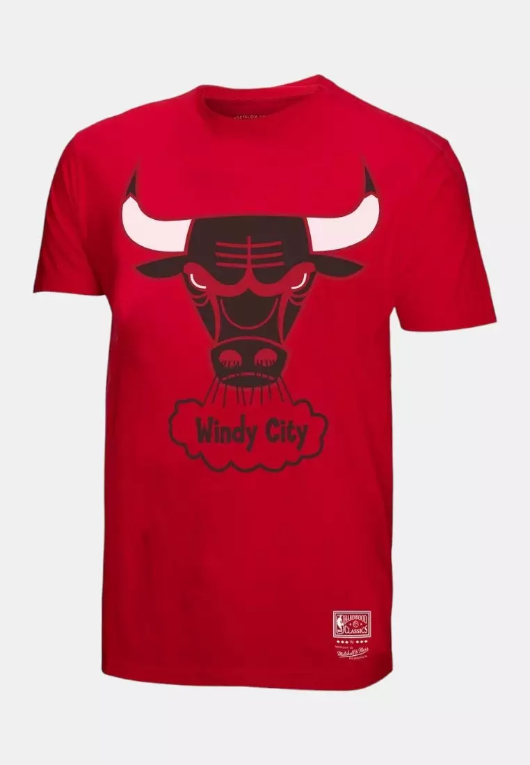 Chicago Bulls Graphic Team Logo