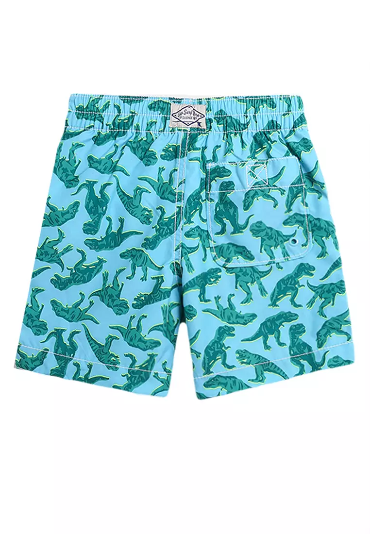 Gap boys swim best sale trunks