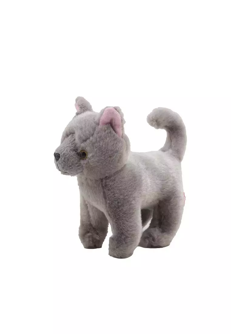 Chartreux 8 Inch
