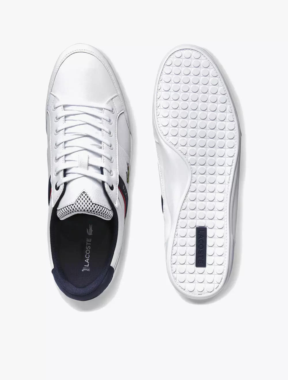 Jual Lacoste Men s Chaymon Textile and Synthetic Trainers White