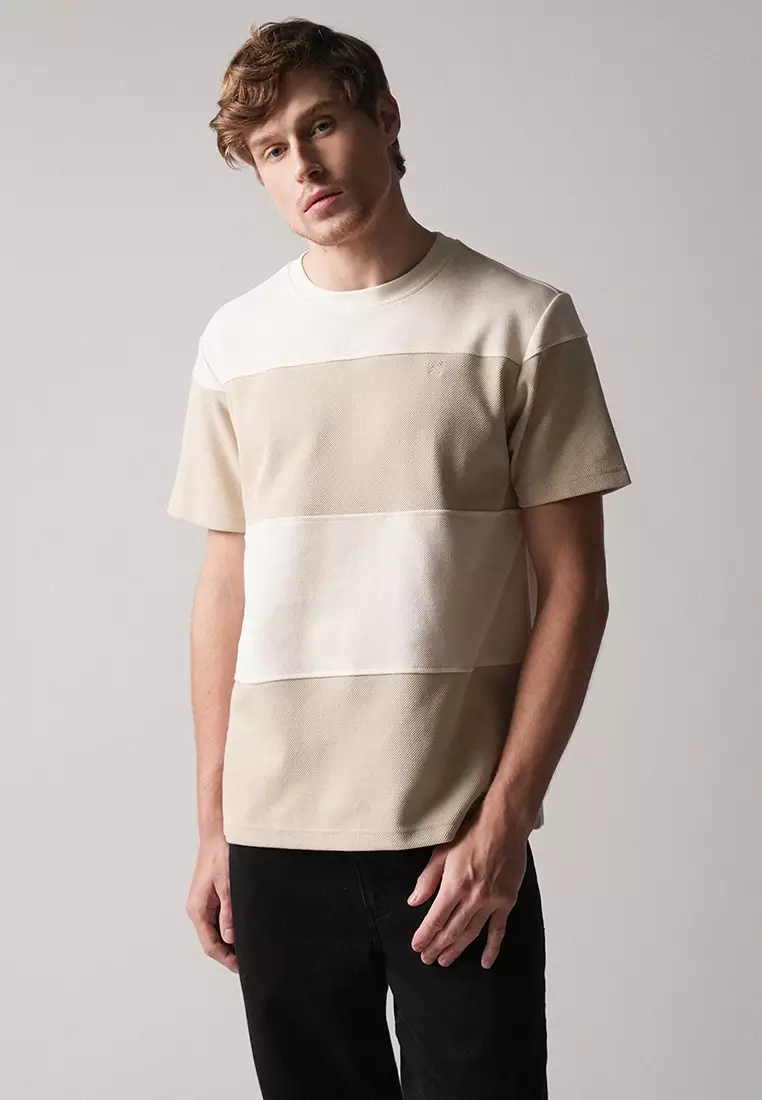 Regular Fit Color-Block Cut & Sew T-Shirt In Honeycomb Pique