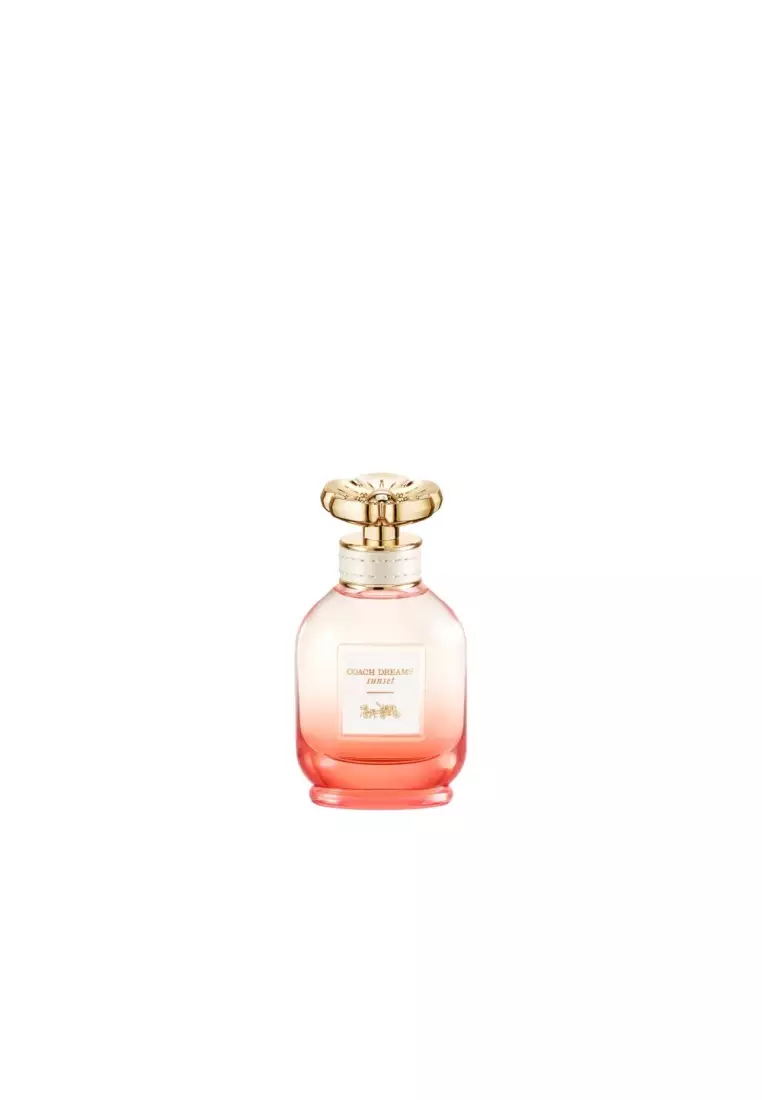 Buy Coach Coach Dreams Sunset EDP 40ml 2024 Online | ZALORA