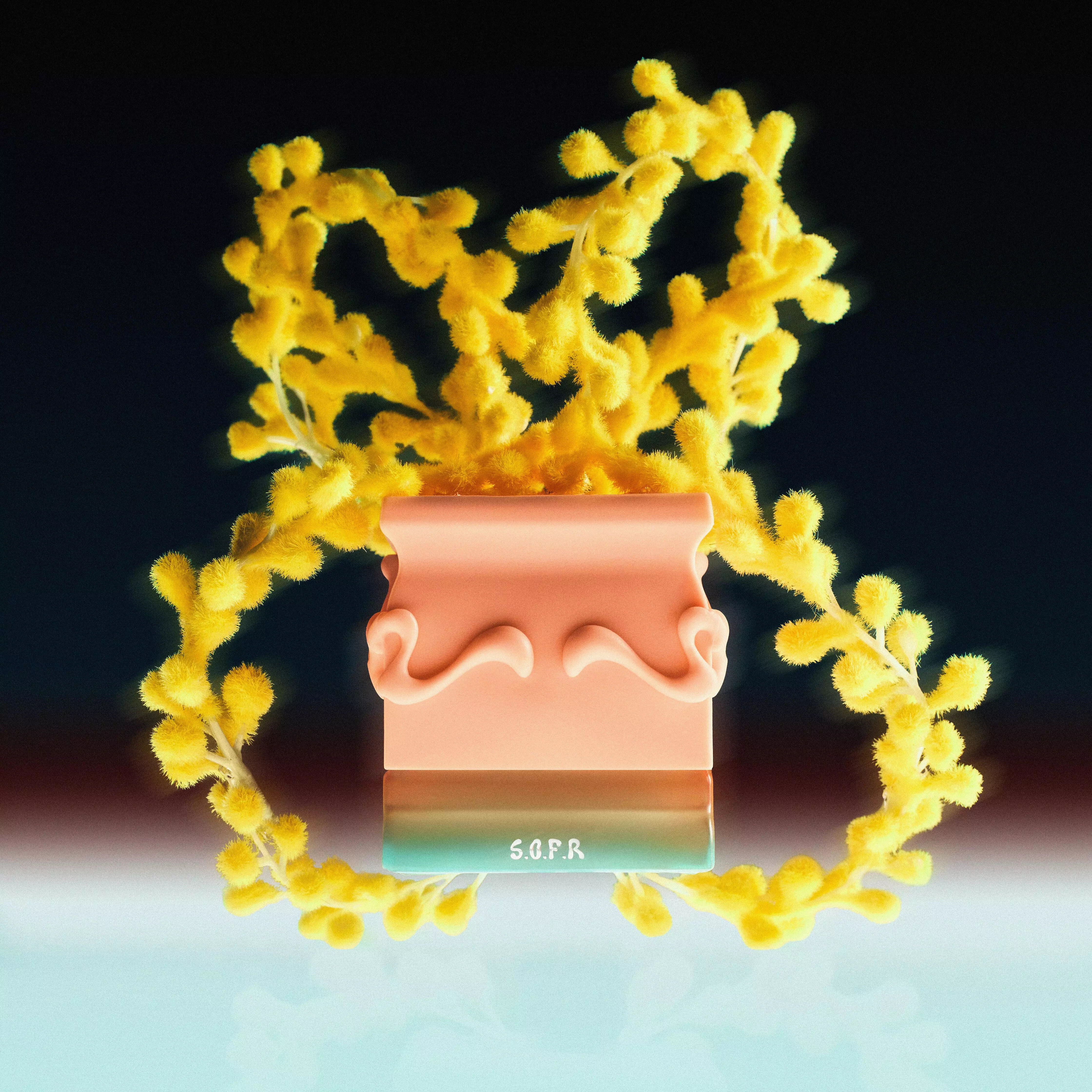 C&F - SAFF & Co Extrait De Parfum S.O.F.R Extrait 35 ml - Parfum Unisex