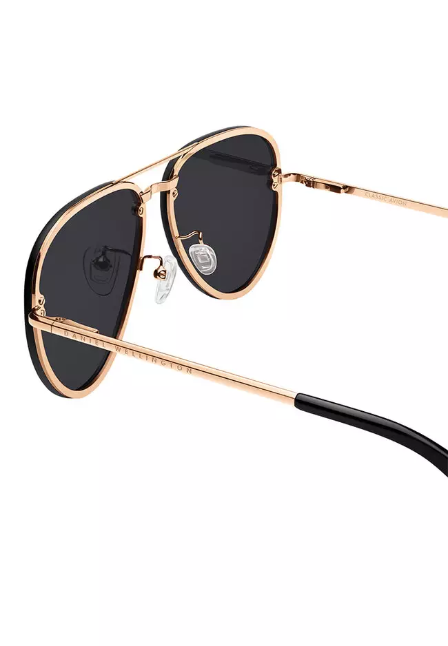 Steel Avion Rose gold Large Eastern Fit Sunglasses DW 墨鏡 - 太陽鏡 丹尼爾惠靈頓