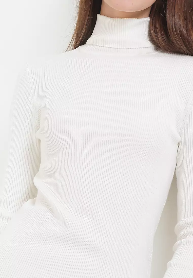 Ribbed Roll Neck Jumper