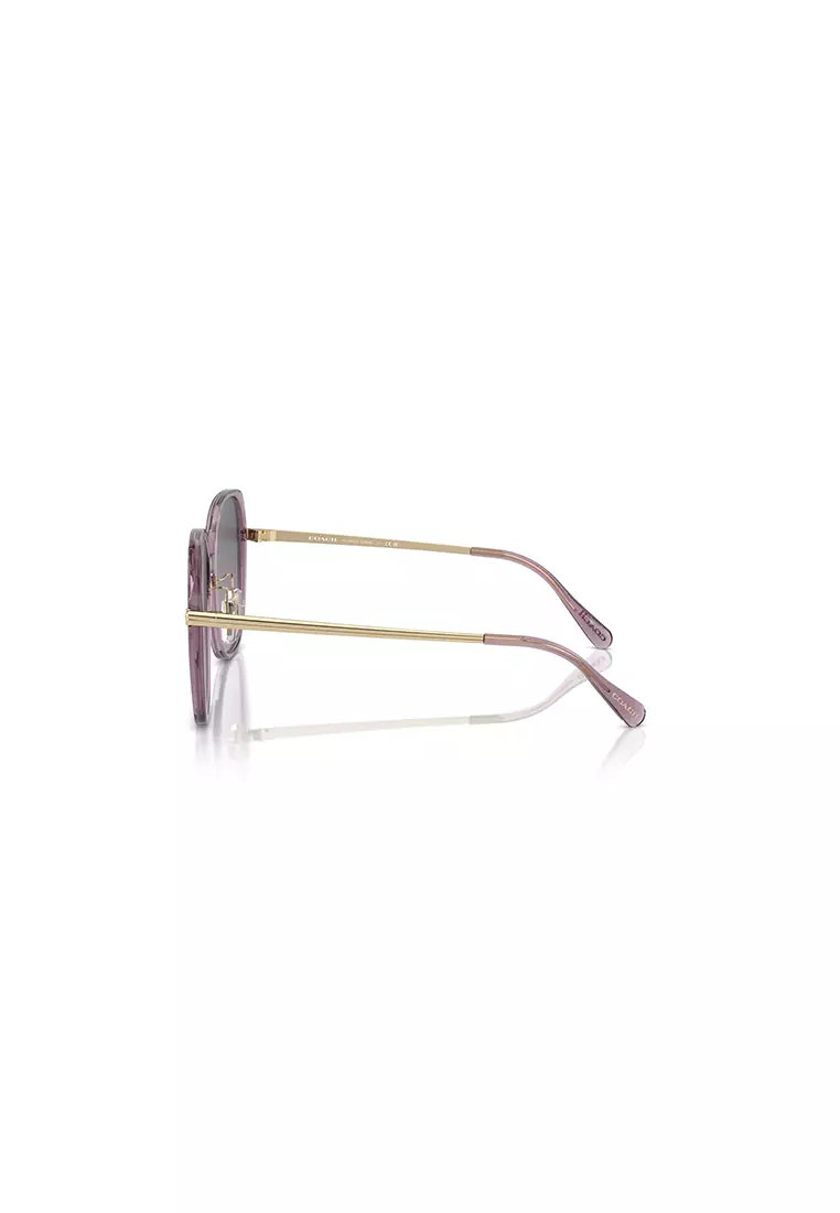 Women's Square Frame Violet Injected Sunglasses - HC8403D