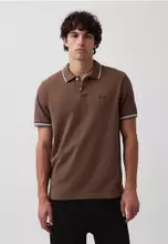 Buffalo Brown
