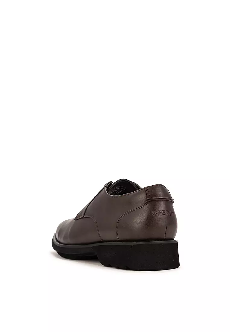 Newman II Oxford Shoes