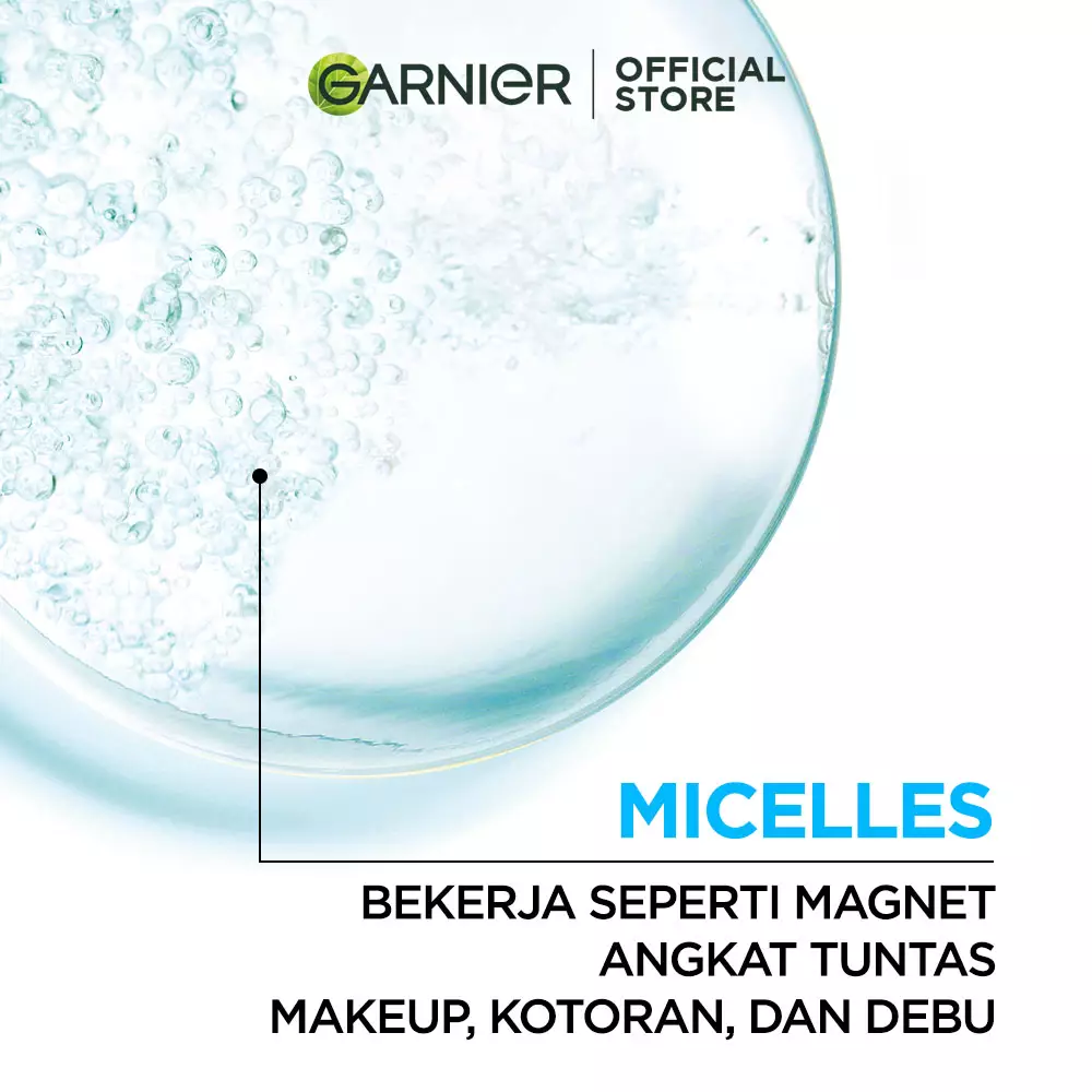 Garnier Micellar Water Salicylic Blue 400ml Twinpack