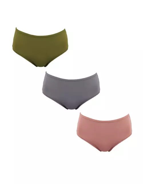 Wacoal Saver Pack IP 4174A - Anti Bacterial - Maxi Brief