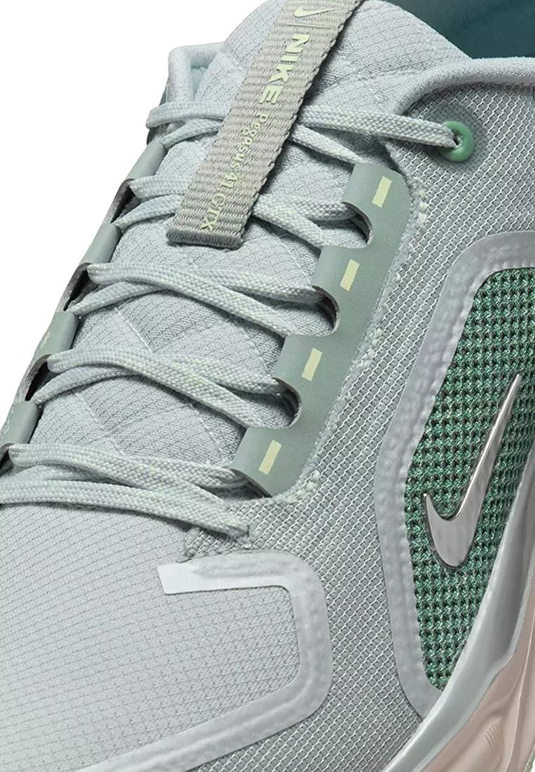 Air Zm Pegasus 41 Gtx