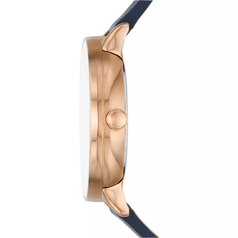 Jam Tangan Wanita Skagen Riis SKW3090 White Dial Blue Leather Strap